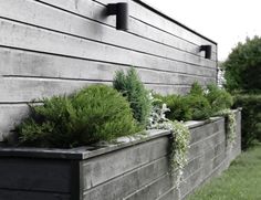 some plants are growing out of the side of a wooden wall in front of grass and bushes