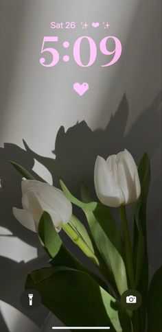 white tulips are in a vase with the date 5 009 on it