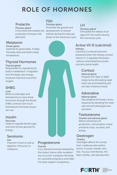 دورة شهرية, Female Health, Healthy Hormones, Menstrual Health, Medical School Essentials, Feminine Health, Endocrine System, Hormone Health, Medical Knowledge