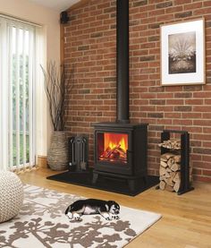 a dog laying on the floor in front of a fireplace