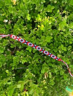 Many colors coming soon! Hippie Style Red Bracelet For Gifts, Red Hippie Bracelet For Gift, Hippie Red Bracelet Perfect For Gifts, Hippie Red Beaded Bracelet Gift, Red Hippie Beaded Bracelets For Gift, Handmade Red Hippie Beaded Bracelets, Braided Bracelets, Friendship Bracelets, Coming Soon