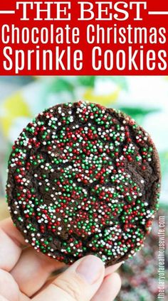 the best chocolate christmas sprinkle cookies