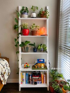 a white shelf filled with books and plants