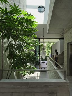 a woman is walking down the stairs in a house with trees and plants on either side