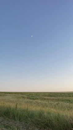 an empty field with grass and a moon in the sky above it on a clear day