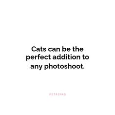 cats can be the perfect addition to any photo shoot - metroma quote on white background