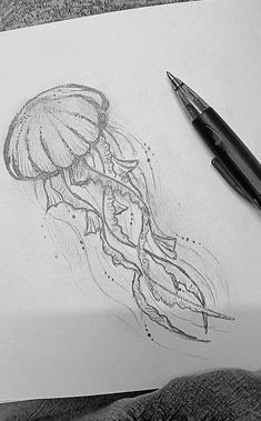 a pencil drawing of a jellyfish on paper