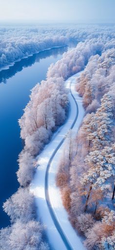 an aerial view of a river and trees covered in frosty white snow, taken from the air