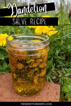 Soothe aches and pains naturally with this DIY Dandelion Salve! Ideal for sore muscles, arthritis, and dry, rough skin, it’s a great remedy for those who spend time outdoors. Follow the step-by-step instructions and craft your own salve now! 🌿