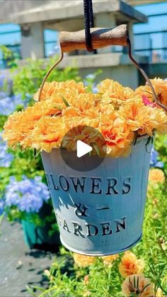 a bucket filled with yellow flowers sitting on top of a lush green field