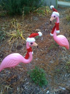 two pink flamingos wearing santa hats and scarfs in the grass with bushes behind them