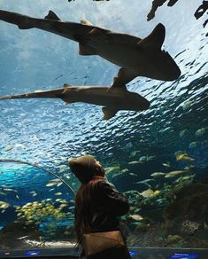 a woman looking at sharks in an aquarium