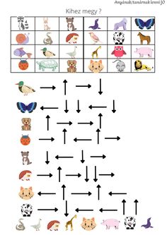 a crossword puzzle game with animals and birds on the same line, which one is missing