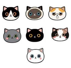 six cats with different colored eyes are shown in the shape of an animal's head