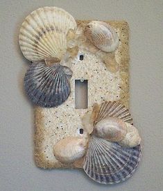 three seashells are placed on a light switch cover