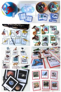 an assortment of pictures and cards with animals on them