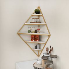 a shelf with spices and utensils on it next to a potted plant