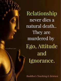 #quotes #quotesoftheday #quotestoliveby Buddism Quotes, Buddha Quotes Life, Buddha Quotes