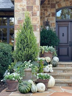 some pumpkins and gourds are sitting on the steps