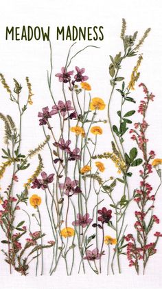 an arrangement of wildflowers on a white background