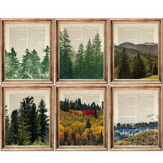 four framed pictures with trees and mountains in the background, on an old book page