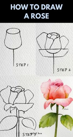 how to draw a rose with step by step instructions for beginners and advanced artists