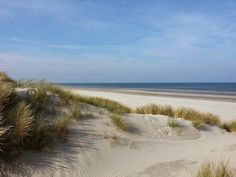 an empty beach with grass growing out of the sand