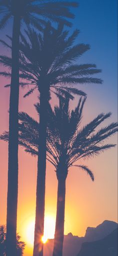 the sun is setting behind some palm trees