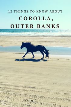 a horse running on the beach with text overlay that reads 12 things to know about corolla, outer banks