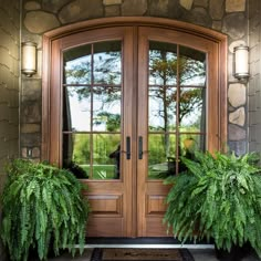 two potted plants sit in front of a wooden door with glass panes on it