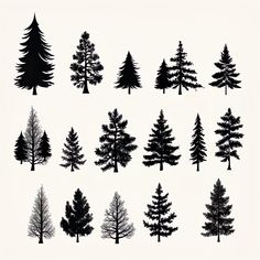 black and white pine trees silhouettes on a white background, set of nine different sizes