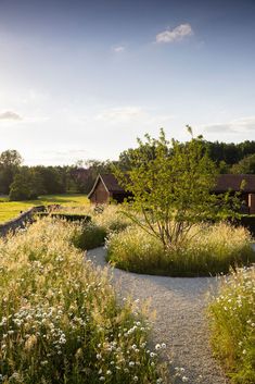 an outdoor garden with lots of flowers and plants around it, surrounded by gravel path