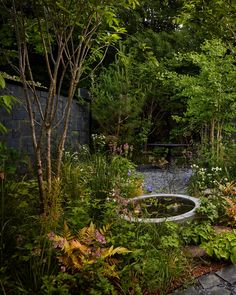 an outdoor garden with lots of plants and flowers on the ground, surrounded by trees