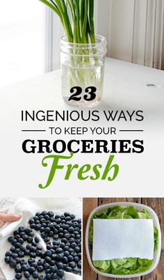 there are some blueberries, lettuce and carrots on the table with text overlay that says 23 ingenious ways to keep your groceries fresh