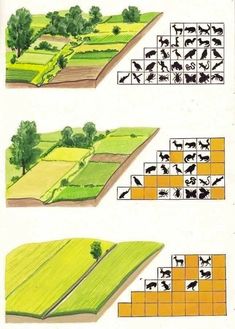 four different views of farm land with animals and birds on them, from an old book