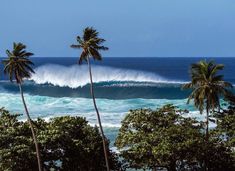 there is a large wave coming in from the ocean with palm trees on the shore