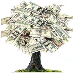 a money tree with twenty dollar bills in it