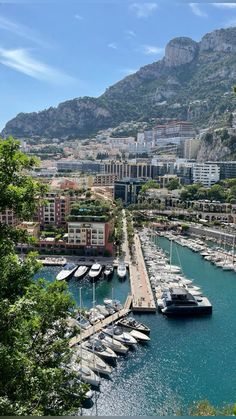 boats are docked at the marina in monaco