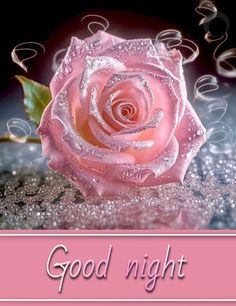 a pink rose with water droplets on it and the words good night written in white