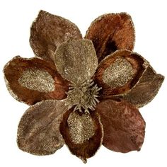 a close up of a flower on a white background with gold and brown glitters