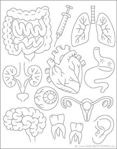 an outline drawing of the human heart and other medical related items in black and white