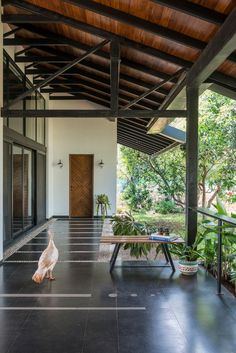 a white bird sitting on top of a black tiled floor next to a wooden bench