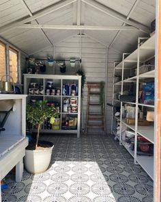 the inside of a shed with shelves and plants