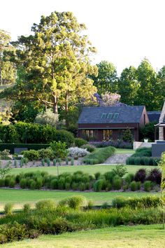 the house is surrounded by lush green grass