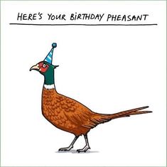 there's your birthday pheasant greeting card with an illustration of a pheasant wearing a party hat