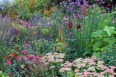 a garden filled with lots of different colored flowers