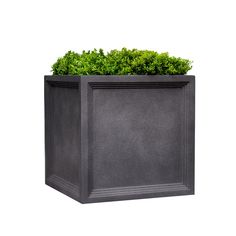 a black planter with green plants growing out of it's sides on a white background