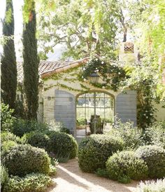 an outdoor area with bushes, trees and a building in the background that is surrounded by greenery