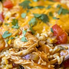 shredded chicken and rice in a bowl with cilantro garnish on top