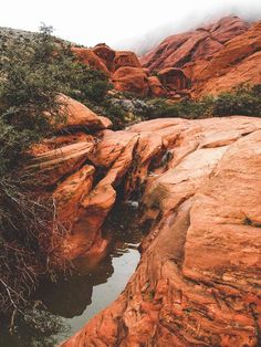 the water is running through the rocks in the desert area with trees growing out of it